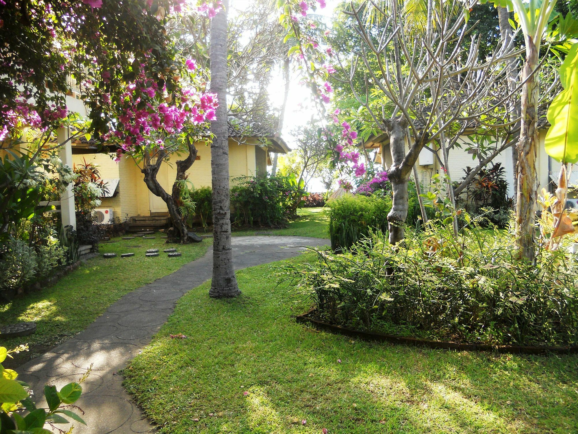 Bali Lovina Beach Cottages Buleleng  Exterior photo